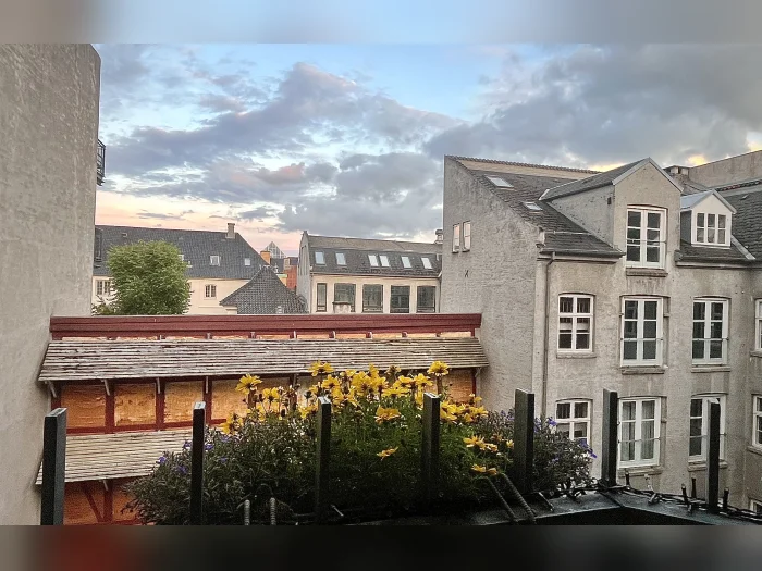 Forhåndsvisning 2