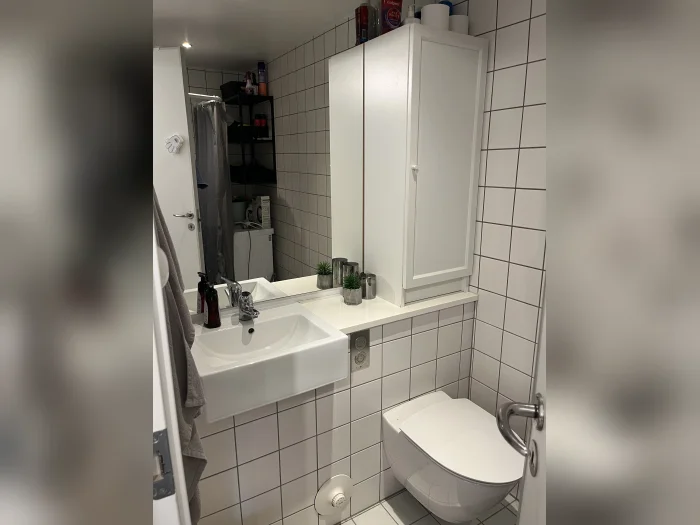 Forhåndsvisning 3