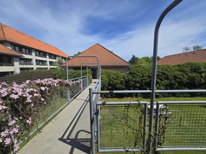 Forhåndsvisning 1
