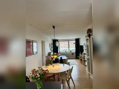 Forhåndsvisning 3