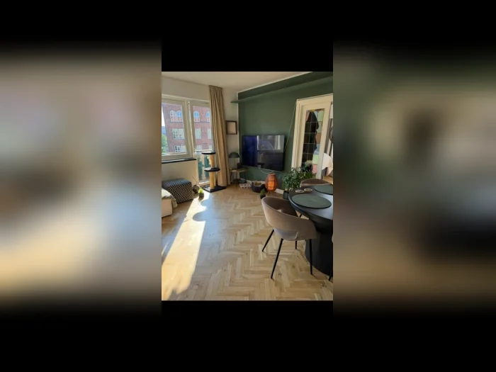 Forhåndsvisning 1